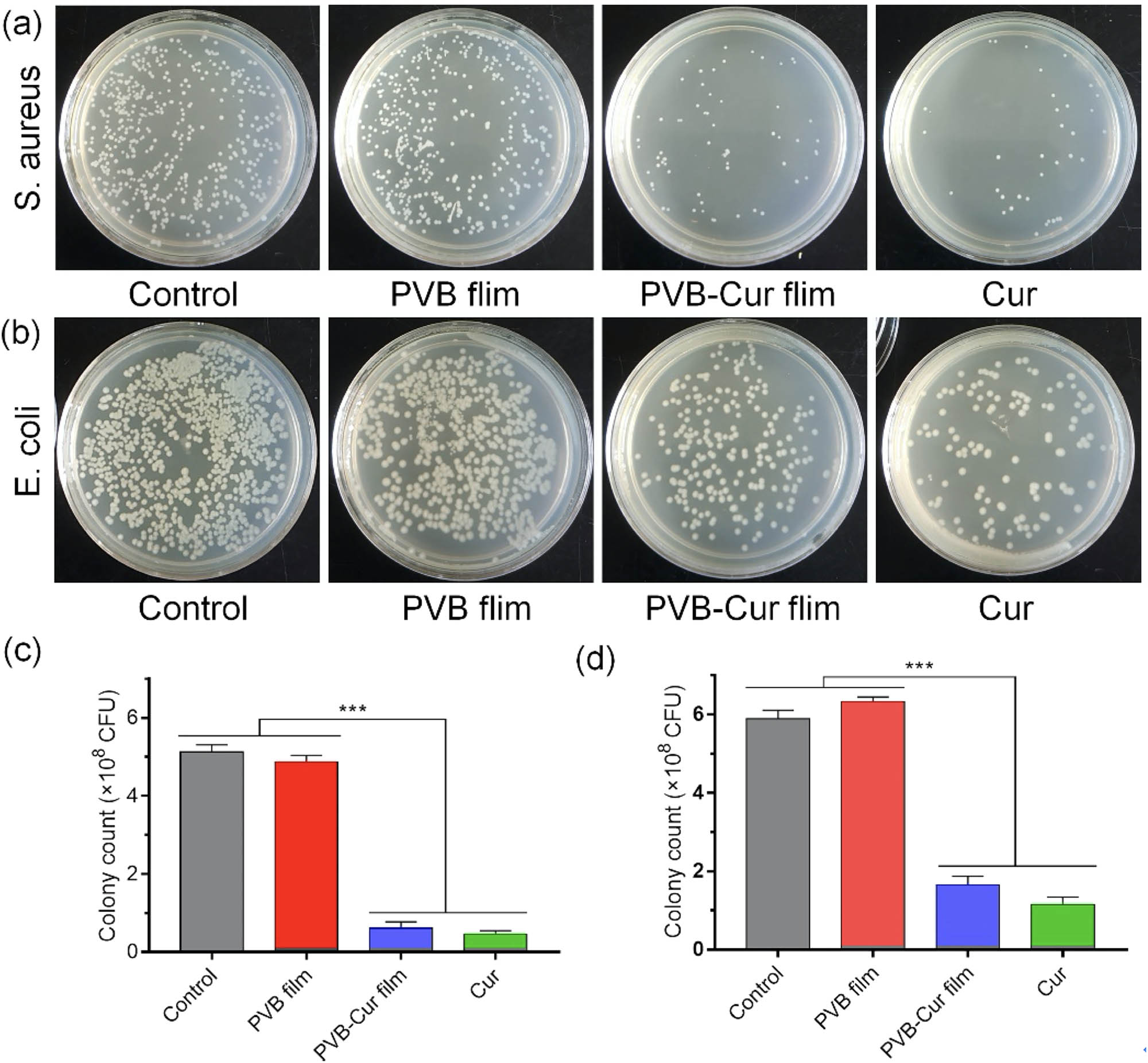 Figure 7 Antibacterial assays of S. aureus and E. coli. CFU photographs of S. aureus (a) and quantitative results (c). CFU photographs of E. coli. (b) and quantitative results (d).