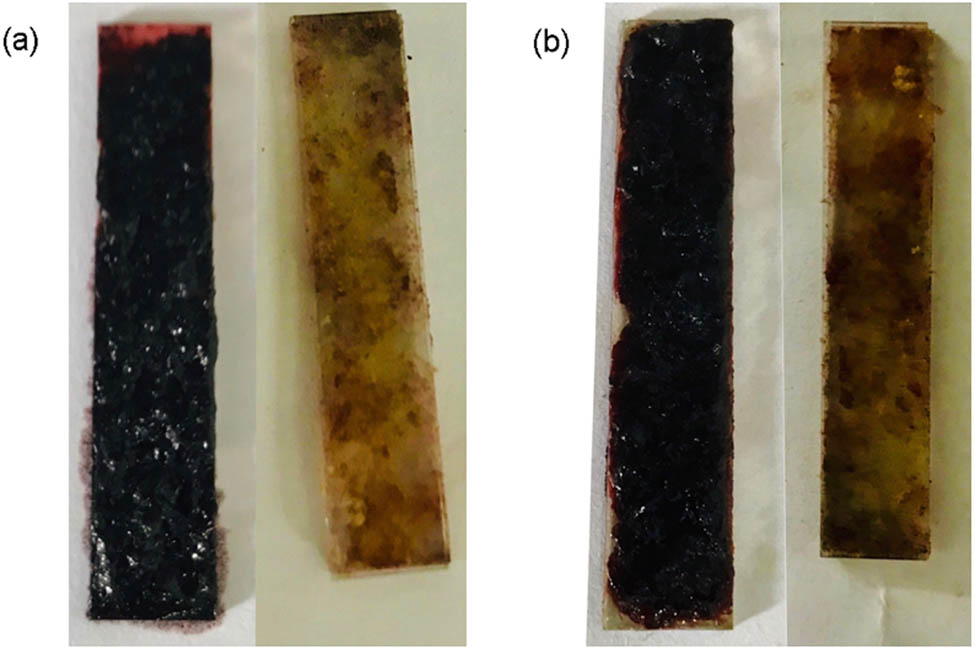 Figure 2 Digital picture of polymer films immersion in AN: (a) P(TTF-Th) and (b) P(DTTF-Th).