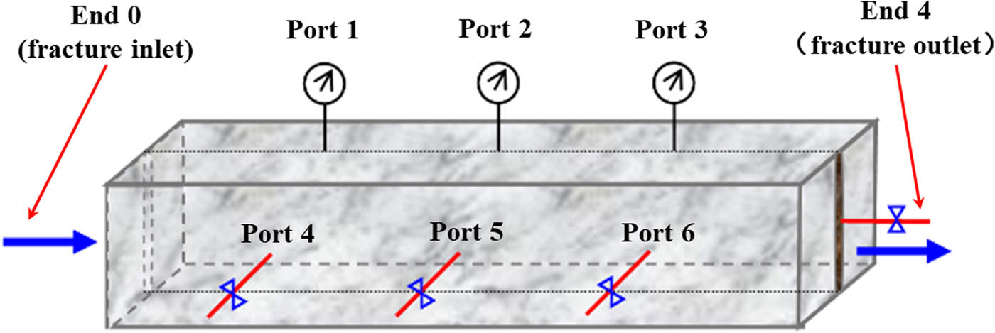 Figure 1 Numbers of sampling ports along the fracture and matrix of cubical core.