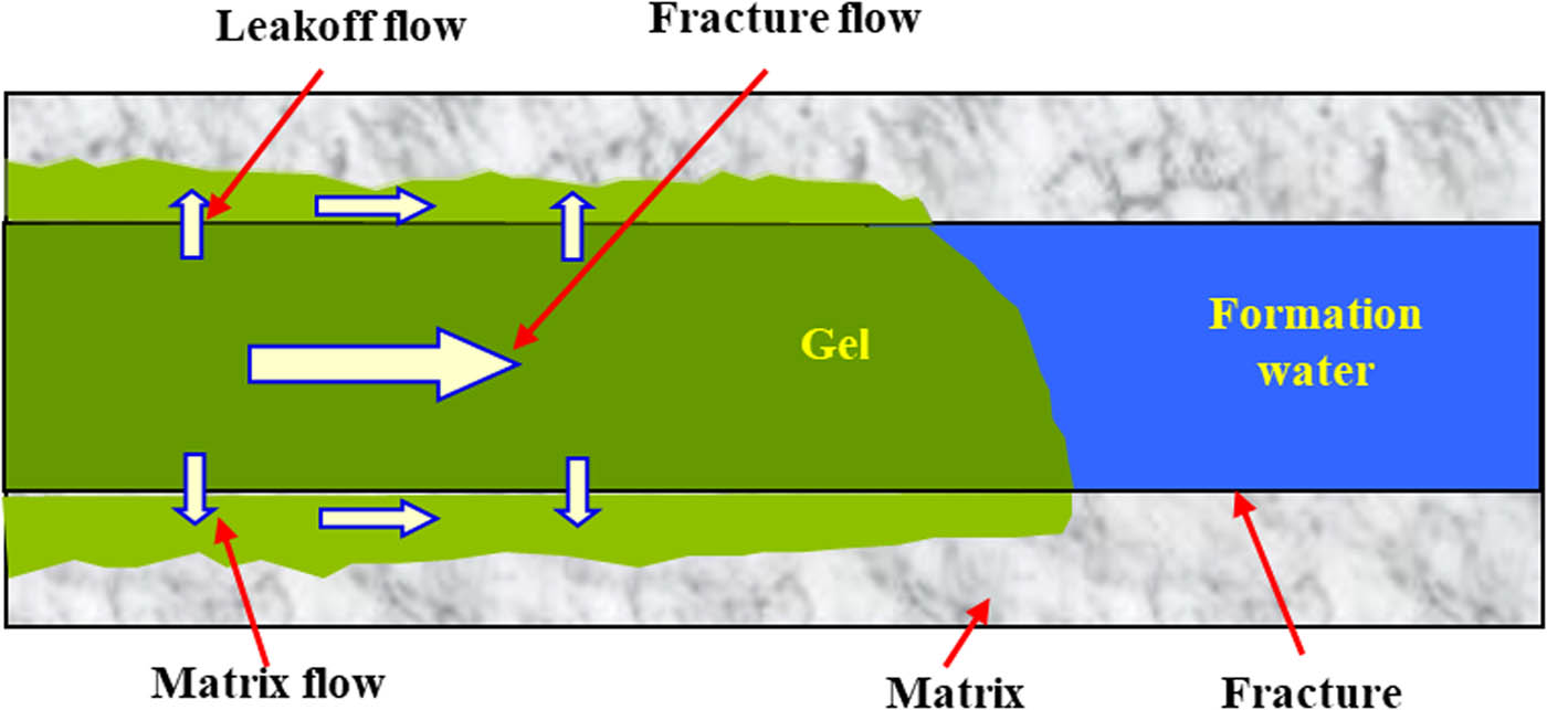 Figure 2 Migration flow of gel solution in the fracture and matrix.