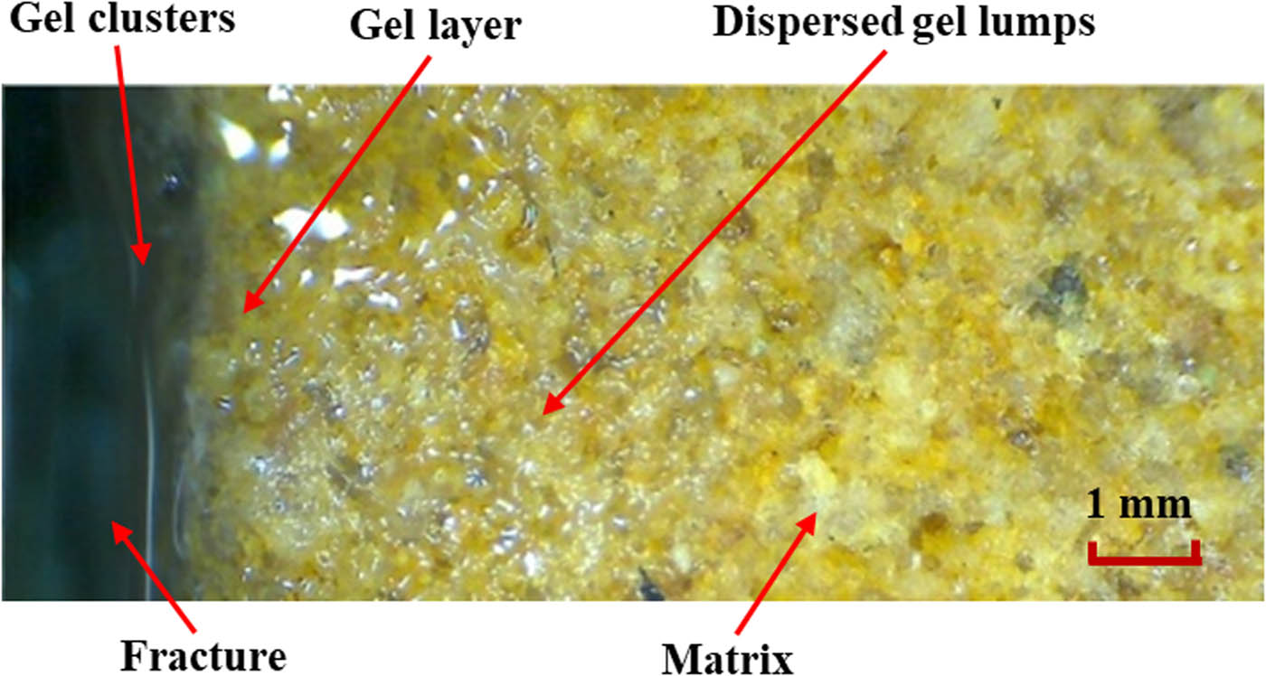 Figure 3 Overall distribution patterns of polymer gel in the fracture and matrix after gelling.