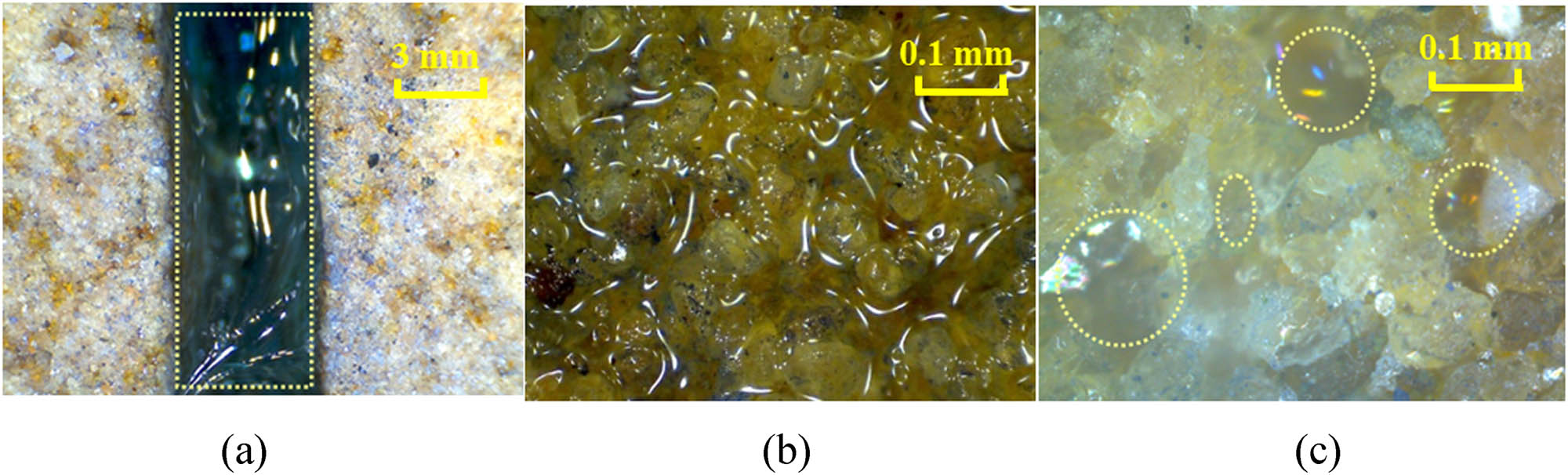 Figure 4 Occurrence states of polymer gel in the fracture and matrix after gelling. (a) Gel clusters, (b) gel layer, (c) dispersed lumps.