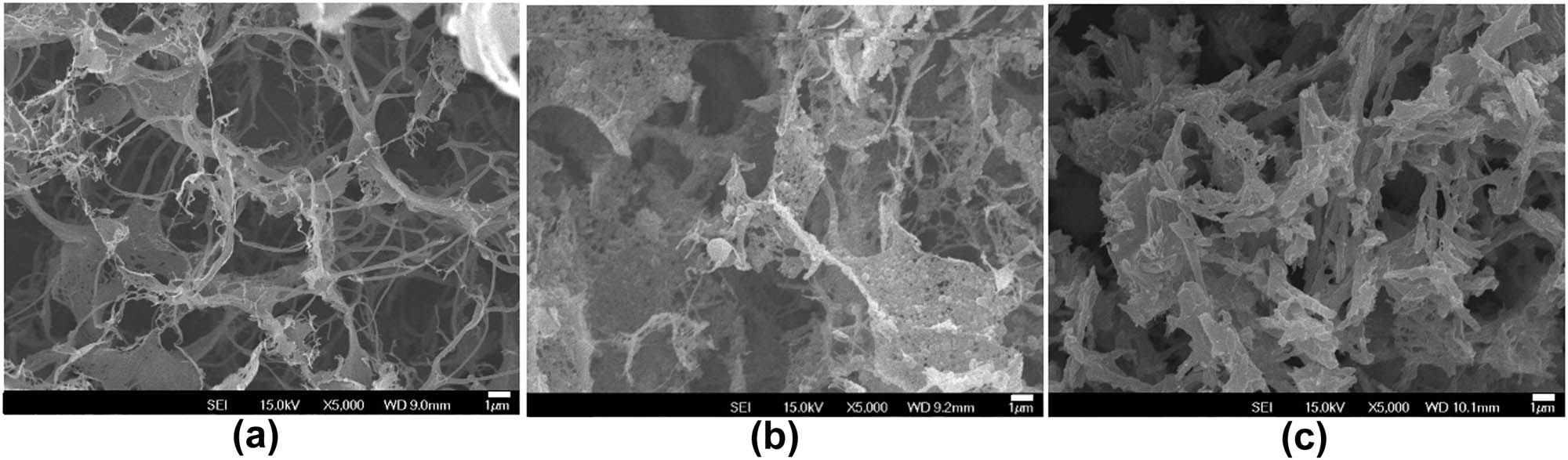 Figure 7 SEM images of (a) Fmoc-FF 1%, (b) Fmoc-FF 0.91%–PAMAM 0.09% hydrogels, and (c) Fmoc-FF 0.8%–PAMAM 0.2% (did not gel but precipitated). The scale bar is 1 µm.