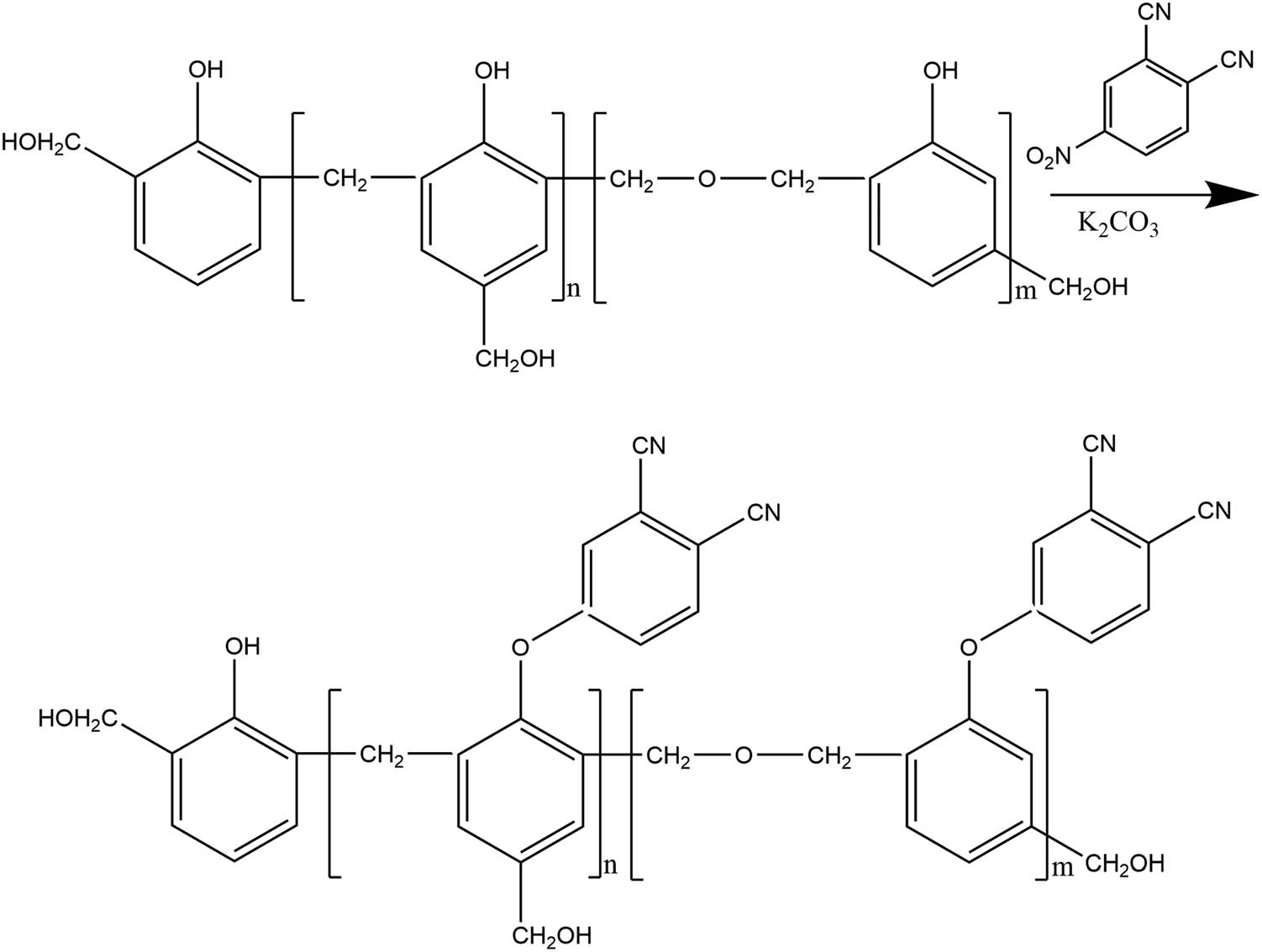 Figure 1 Synthesis of PNR.
