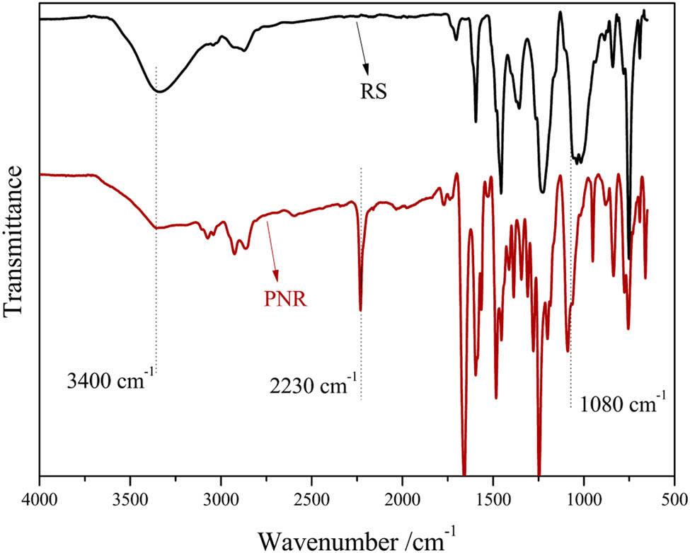 Figure 2 FT-IR spectra of PNR and RS.