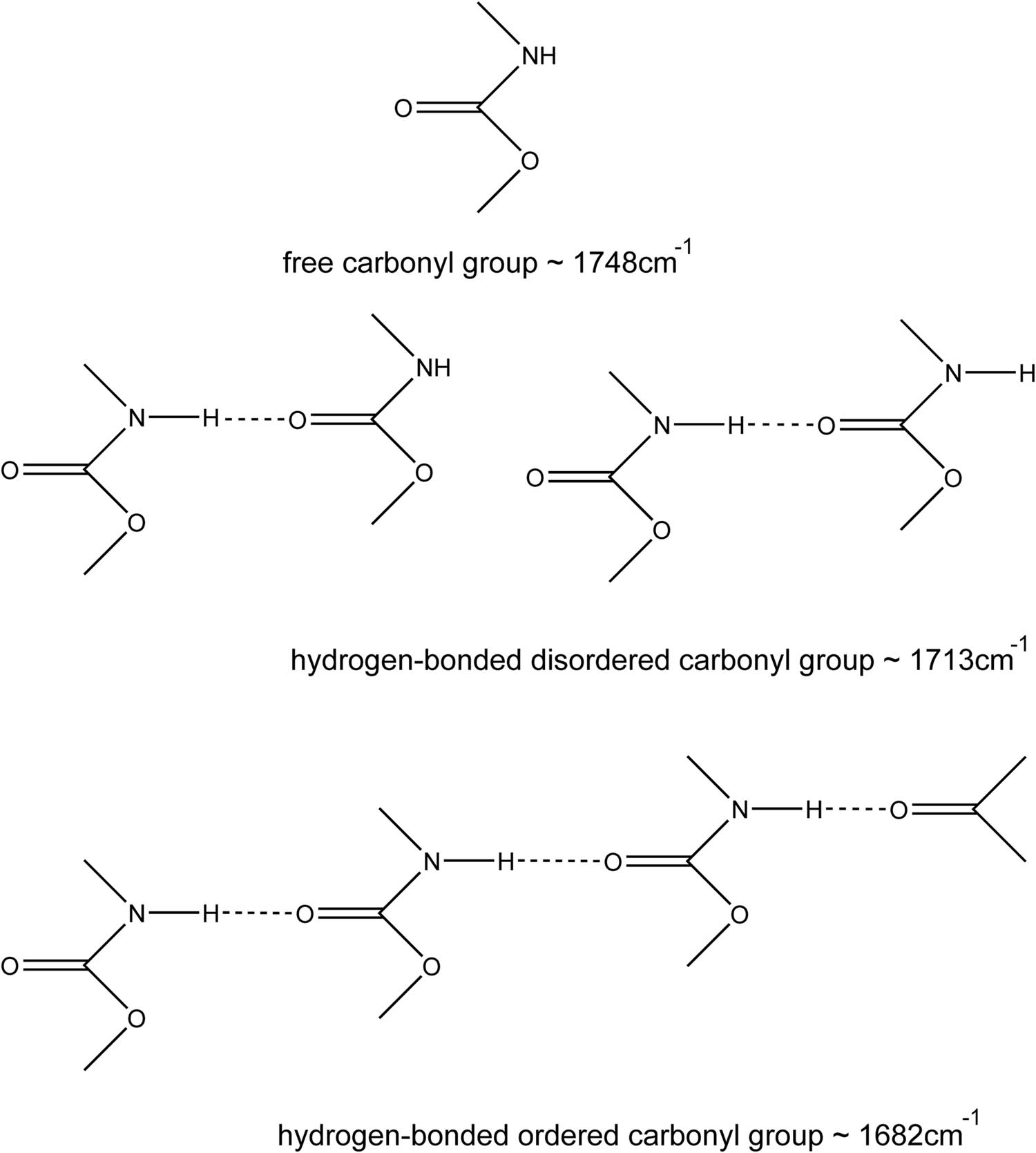 Figure 5 Band assignments for the carbonyl group of polyurethane.