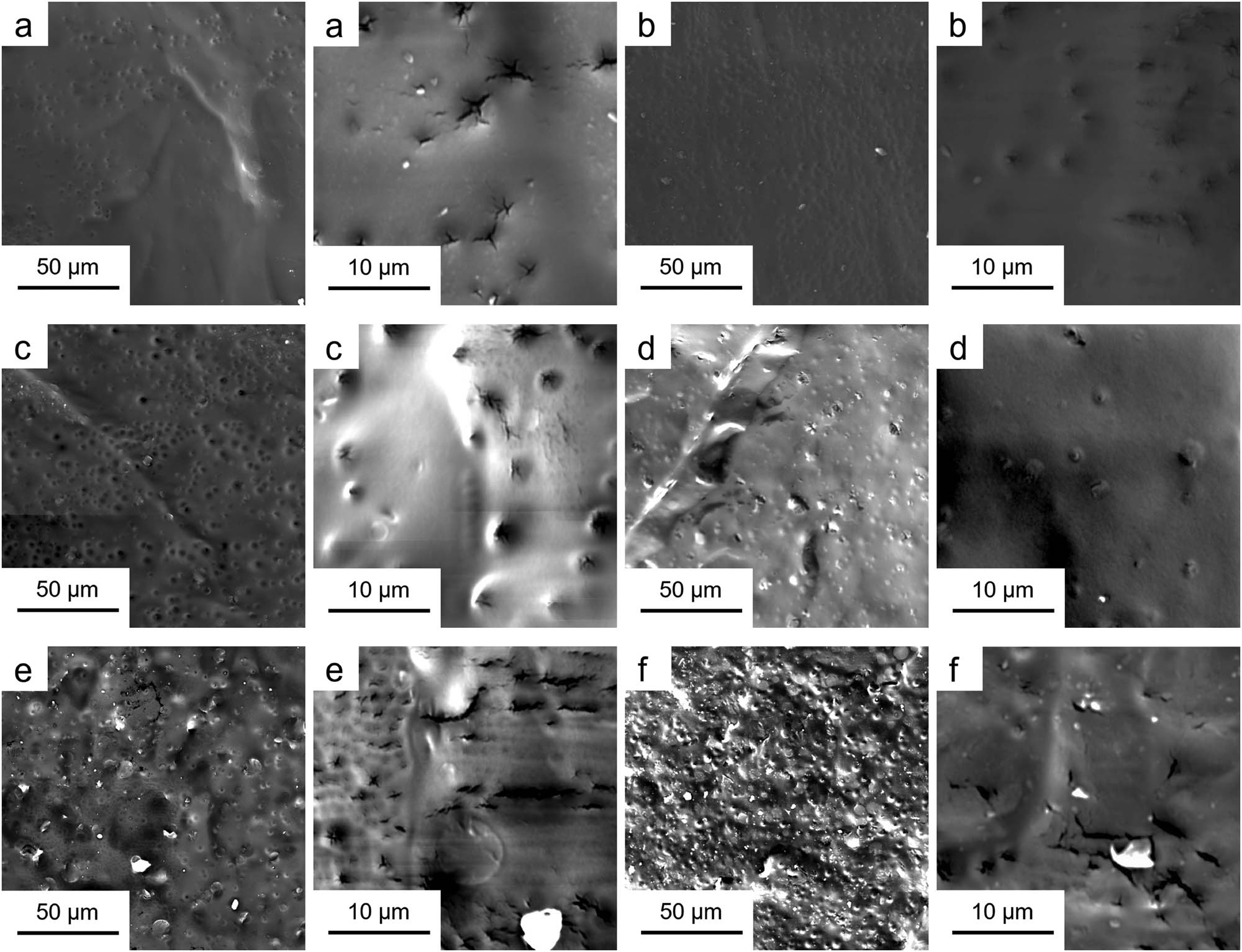 Figure 8 FESEM images of polyurethane elastomers: (a) HCAHP-20%, (b) HCAHP-30%, (c) HCAHP-40%, (d) HCAHE-20%, (e) HCAHE-30% and (f) HCAHE-40%.