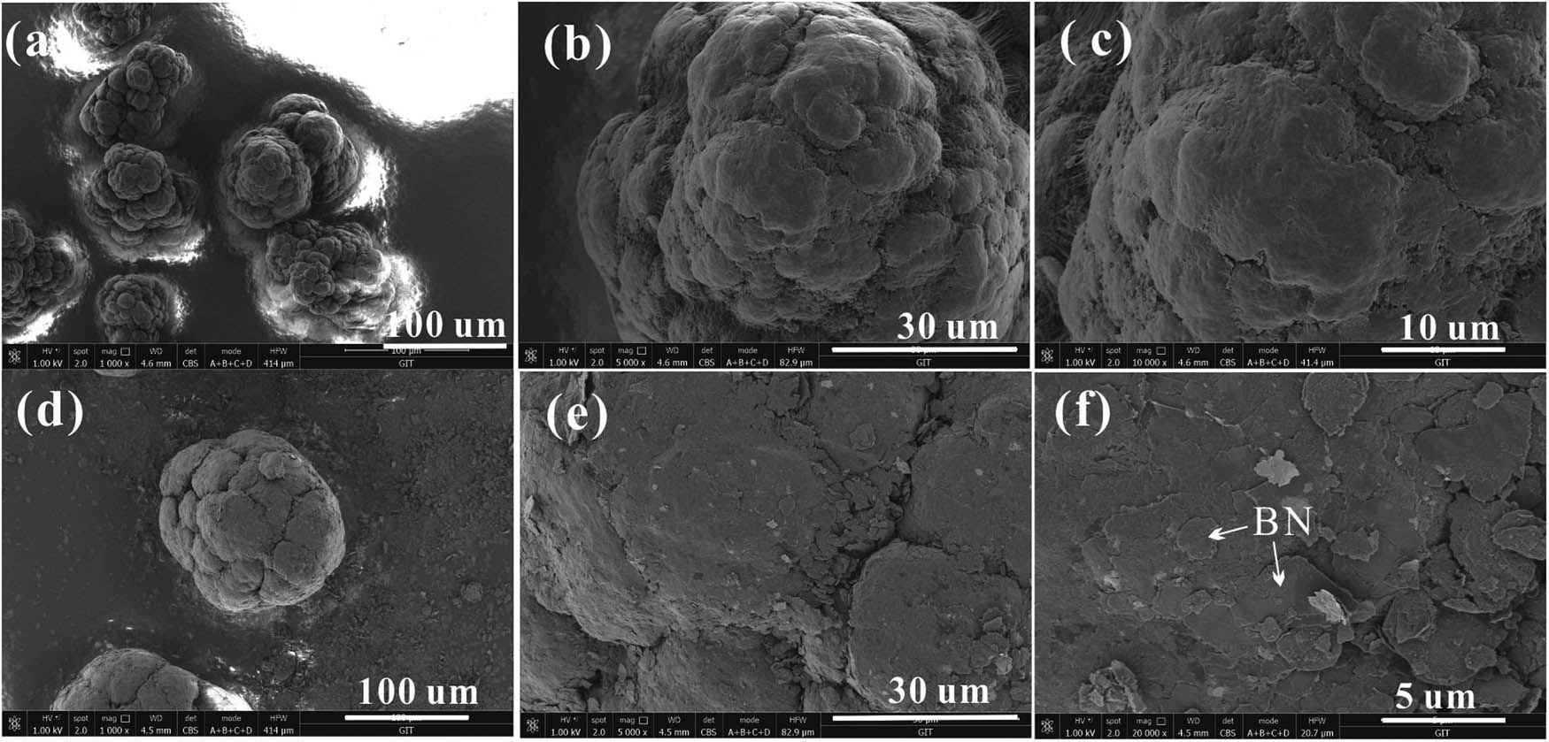 Figure 2 Particle morphological SEM images of UHMWPE granules (a–c) and BN-coated UHMWPE granules with 4.4 vol% of BN (d–f).