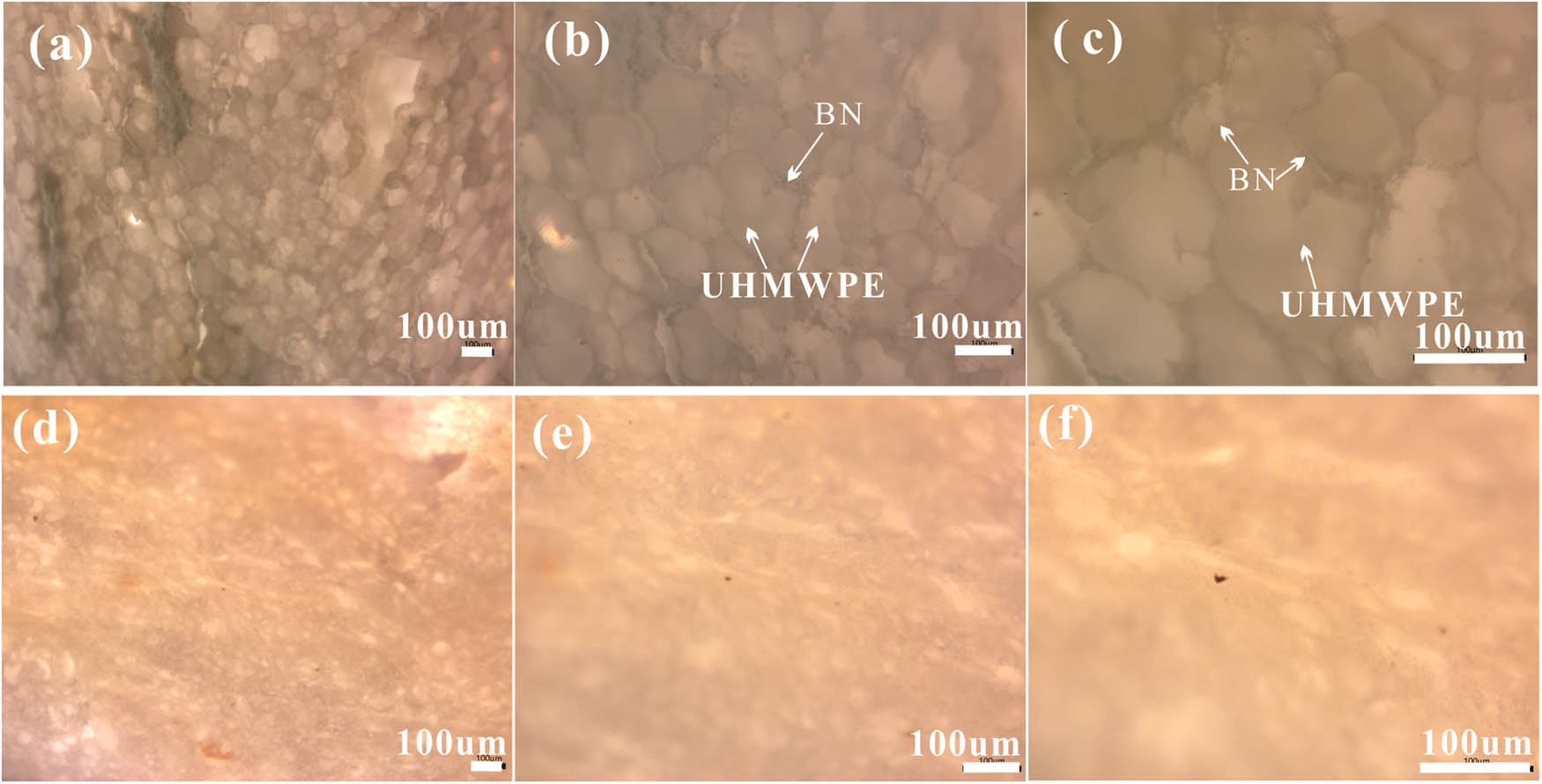 Figure 3 Optical micrographs of BN@UHMWPE (a–c) and BN/UHMWPE composites (d–f) with 9.4 vol% of BN.