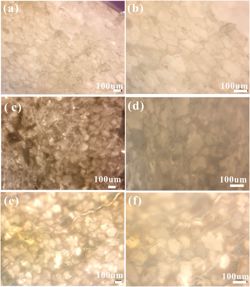 Figure A2 Optical micrographs of BN@UHMWPE with 2.1 vol% (a and b), 21.6 vol% (c and d), and 38.3 vol% (e and f) of BN.