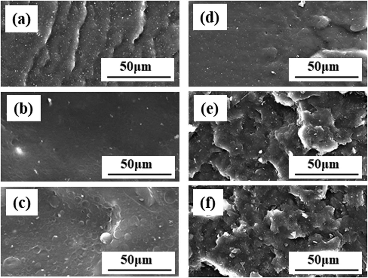 Figure 3 SEM images of NBPR composites filed with (a) 0 phr, (b) 35 phr, and (c) 52 phr GW-622, and SEM images of NBPR composites filed (d) 0 phr, (e) 36 phr, and (f) 54 phr GW-944.
