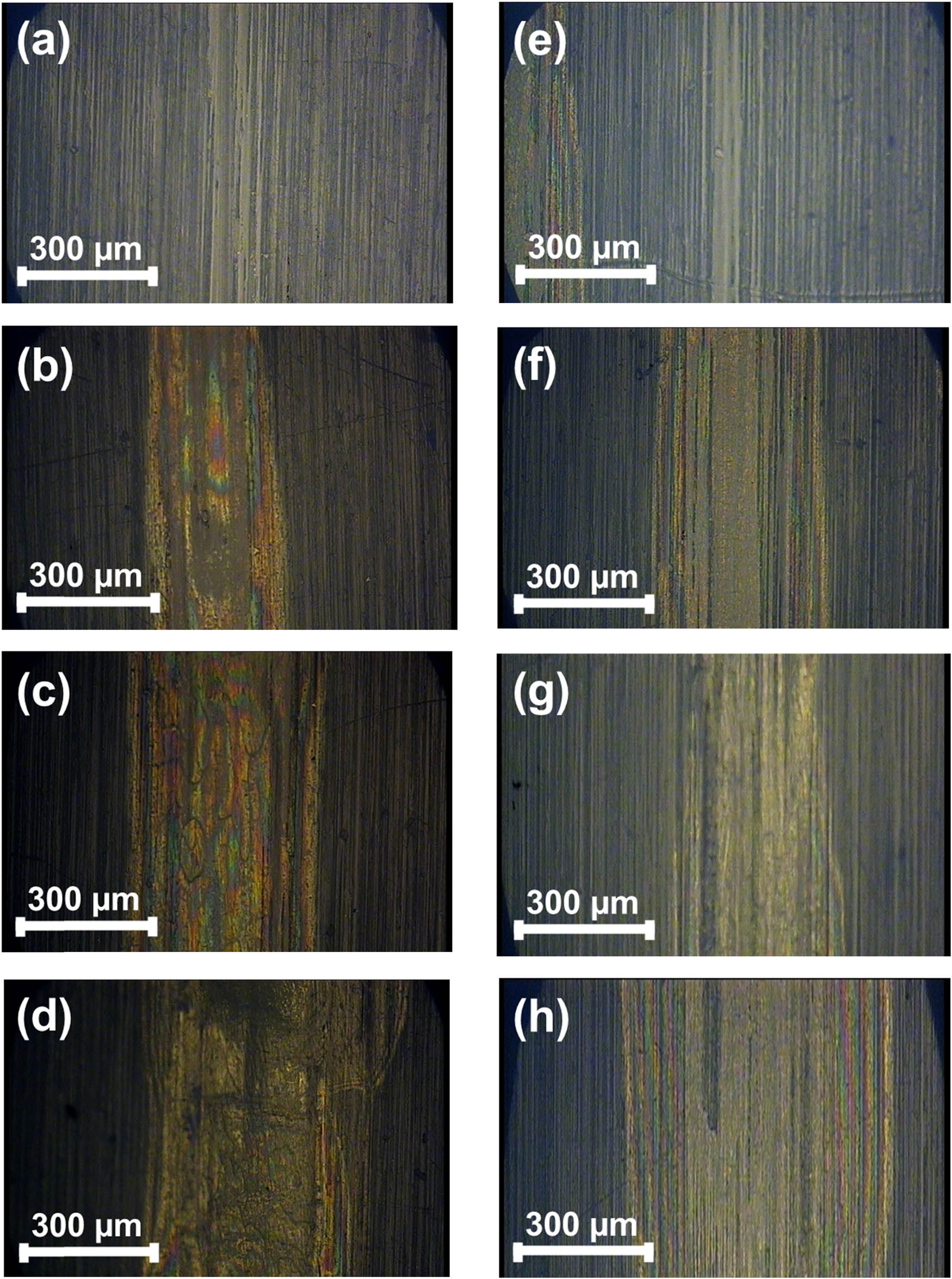 Figure 8 Optical microscopy of wear tracks produced at 1, 3, 6, and 10 N on samples made at T = 160°C (left column: a, b, c, d) and T = 170°C (right column, e, f, g, h), respectively. Wear tracks are parallel to the textured lines of the surface.