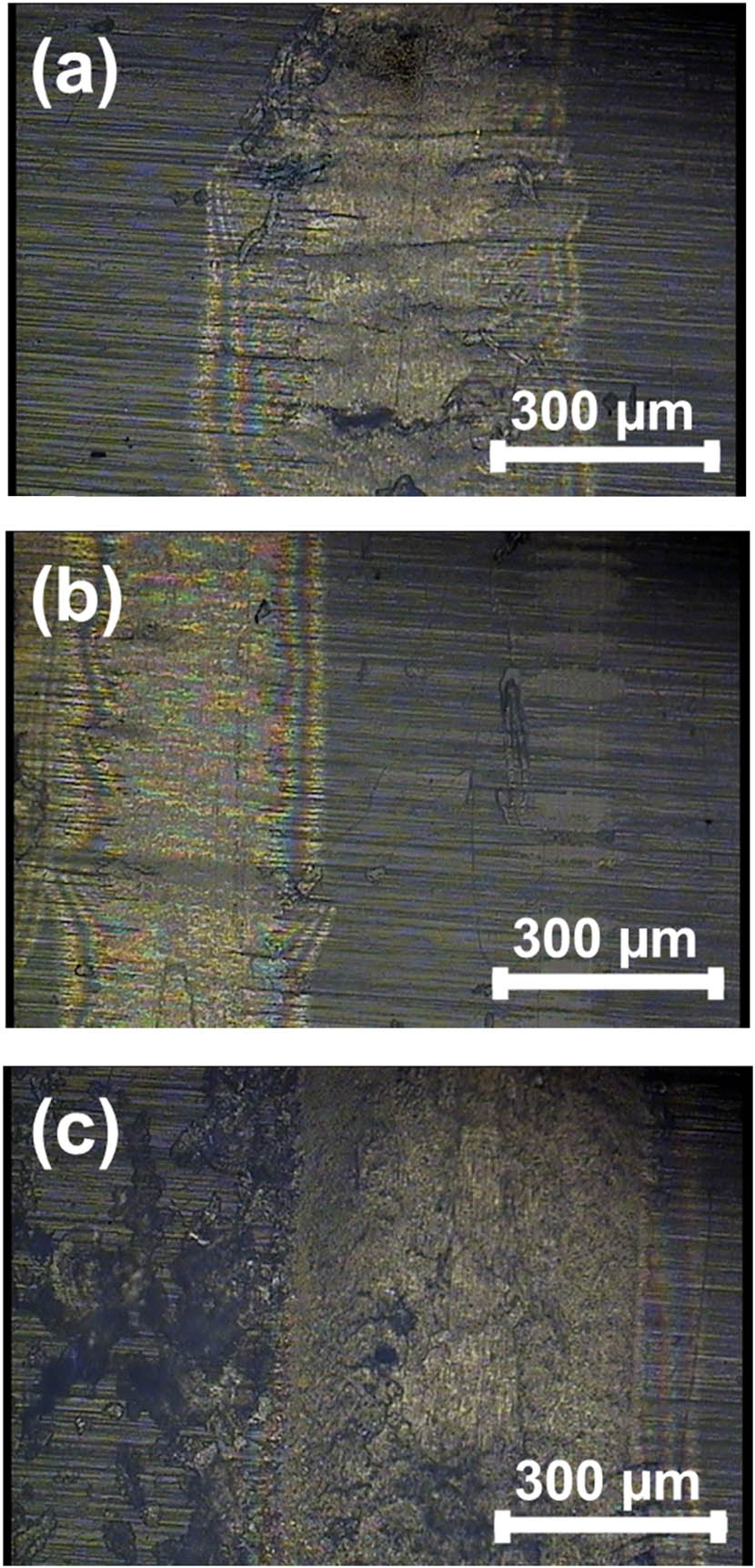 Figure 11 Optical microscopy of wear tracks produced at L = 3 N and (a) 0% RH; (b) 33% RH; and (c) 75% RH on samples made at T = 170°C. Wear tracks are perpendicular to the textured lines of the surface.