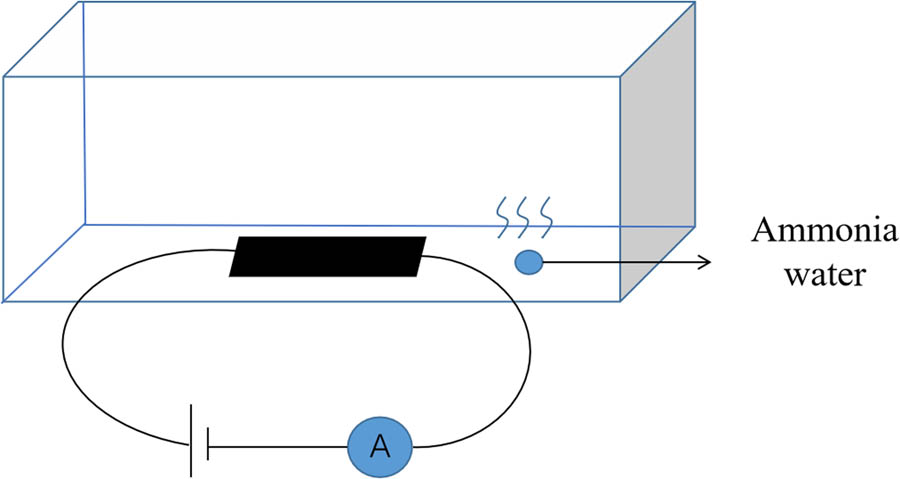 Figure 3 Schematic diagram of the device for Ag-CNF testing NH3 concentration, the voltage applied during the test is 0.2 V.