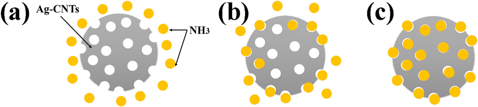 Figure 5 Process of adsorption of NH3 by Ag-CNFs. (a) Ag-CNFs in NH3 atmosphere. (b) Ag-CNFs begin to adsorb NH3 and surface seepage occurs. (c) Surface adsorption is saturated and begins to diffuse internally.