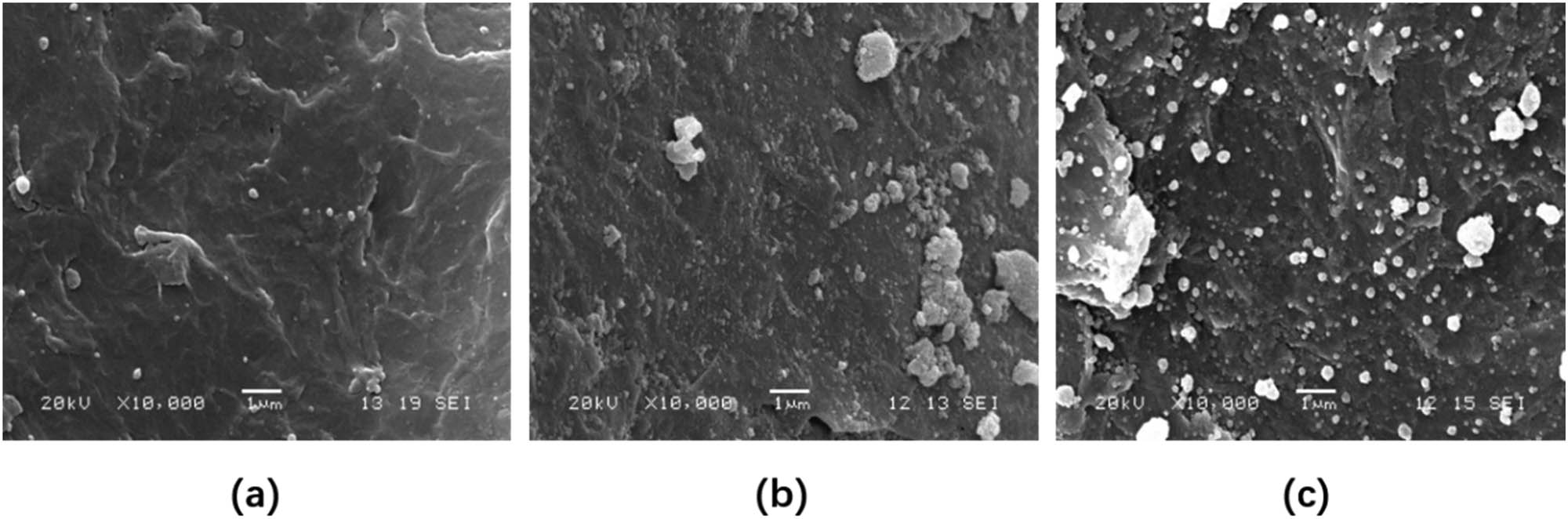Figure 6 SEM photographs of the HA/PEEK powder with 2.5 wt% (a), 10 wt% (b), and 20 wt% (c) modified HA.