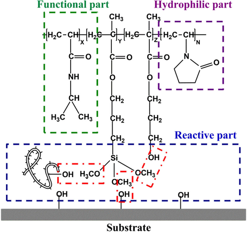 Figure 1 Schematic diagram for molecular structure of PNTHV copolymer and three possible types of methanol removal when annealed.