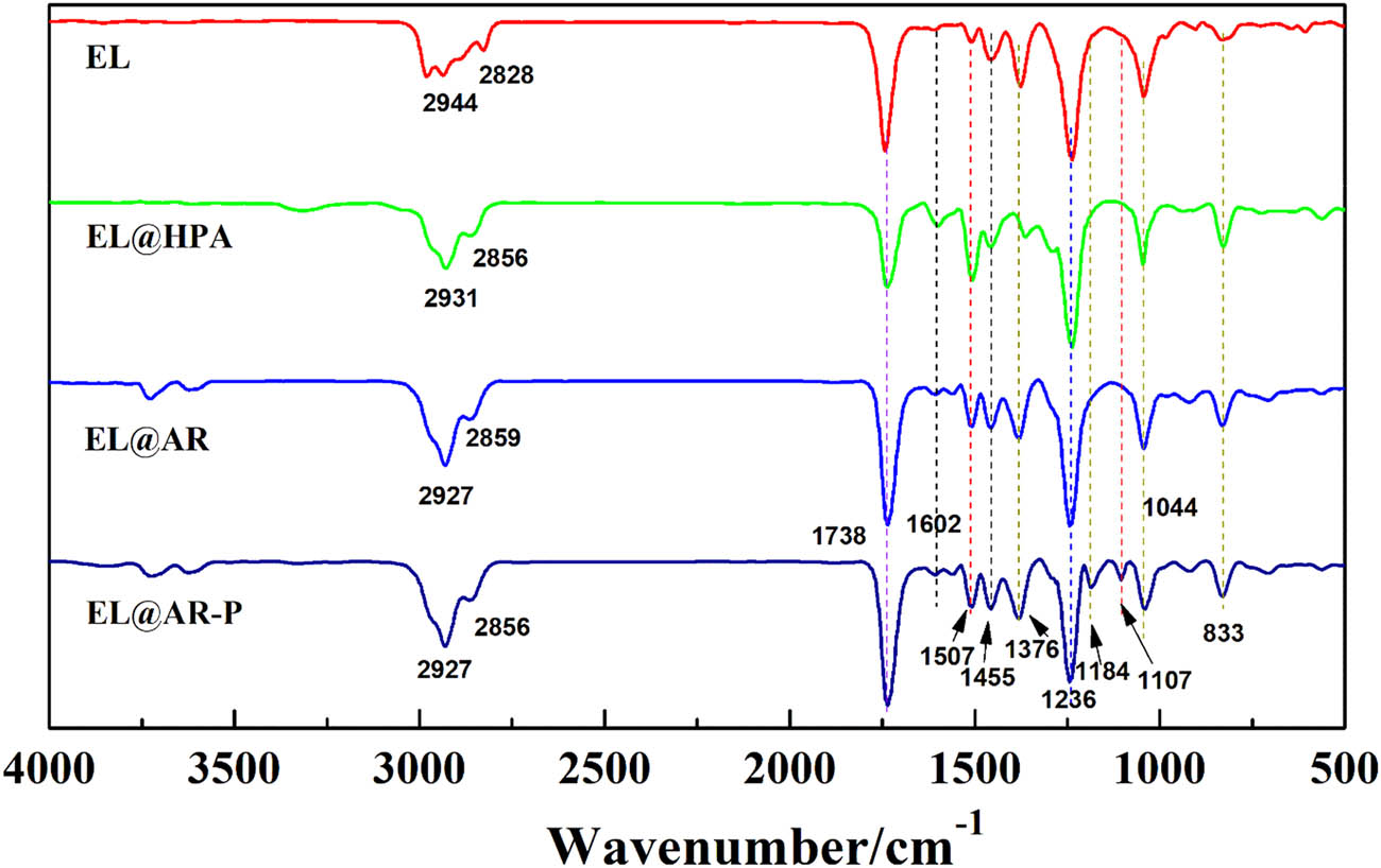 Figure 2 Infrared spectrum of EL, EL@HPA, EL@AR, EL@AR-P latex film.
