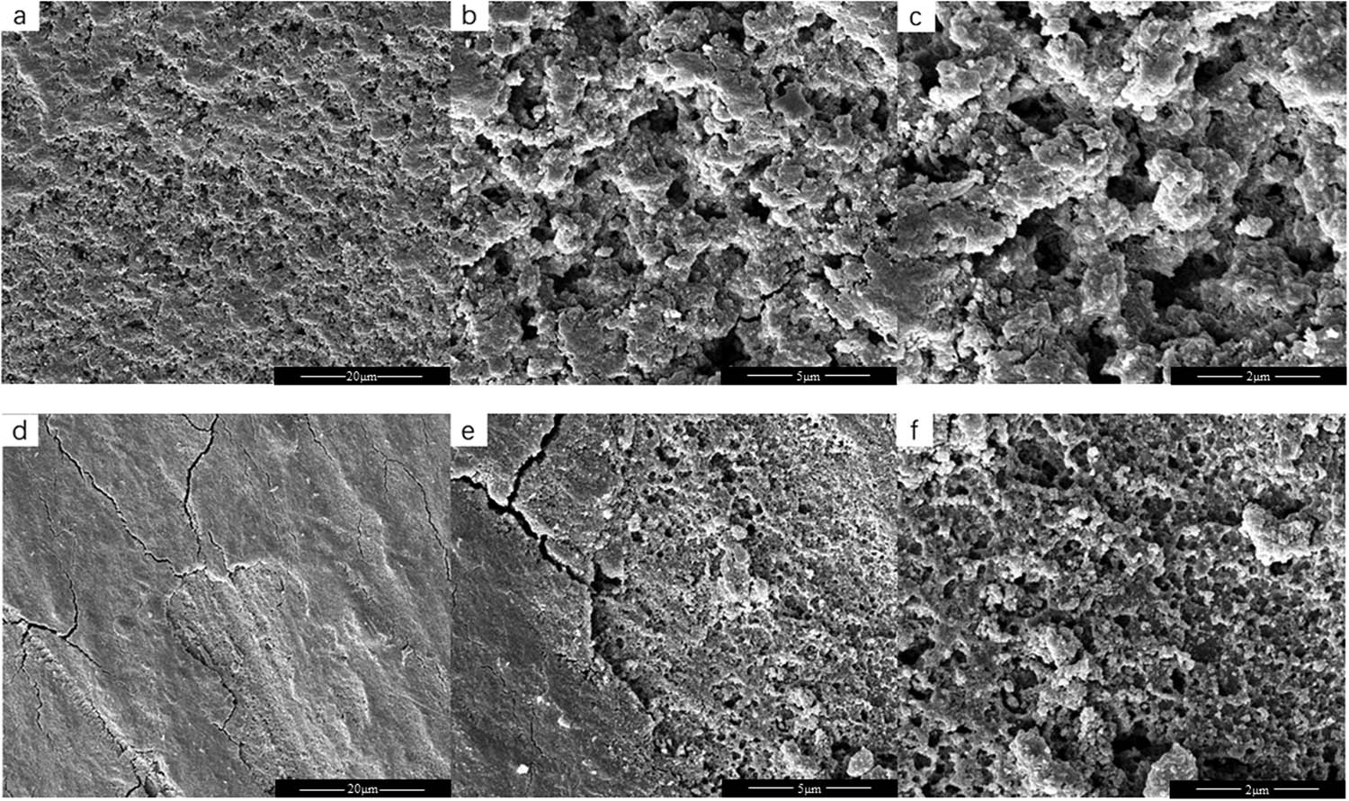 Figure 9 SEM images on coating-exfoliated steel surfaces after 16 days of immersion in 3.5 wt% NaCl solution, (a–c) EL@AR-P0, (d–f) EL@AR-P2, (a and d) magnification level of 2,000×, (b and e) magnification level of 10,000×, (c and f) magnification level of 20,000×.