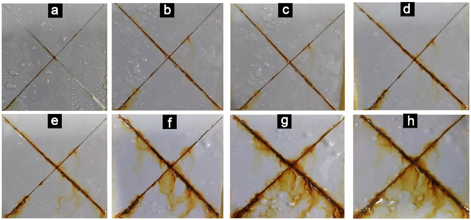 Figure 11 Salt spray test diagram of EL@AR-P2 film: 48 h (a), 96 h (b), 144 h (c), 192 h (d), 240 h (e), 288 h (f), 336 h (g), 384 h (h).