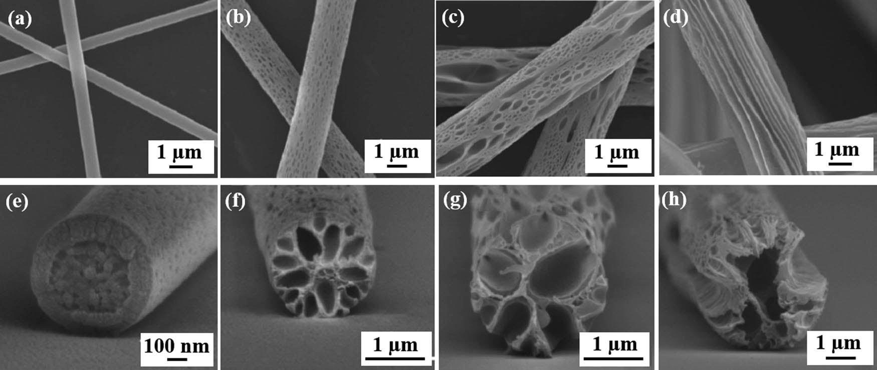 Figure 5 The SEM images of the surfaces and the cross sections of PS fibers fabricated from solutions with varying DMSO content: (a and e) 0%, (b and f) 20%, (c and g) 30%, and (d and h) 40% (121) (© American Chemical Society 2017).