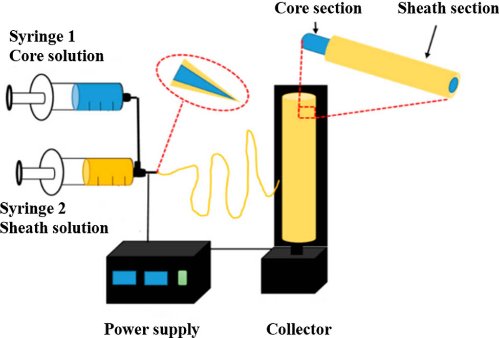 Figure 7 Schematic diagram of coaxial electrospinning (126) (Open access).