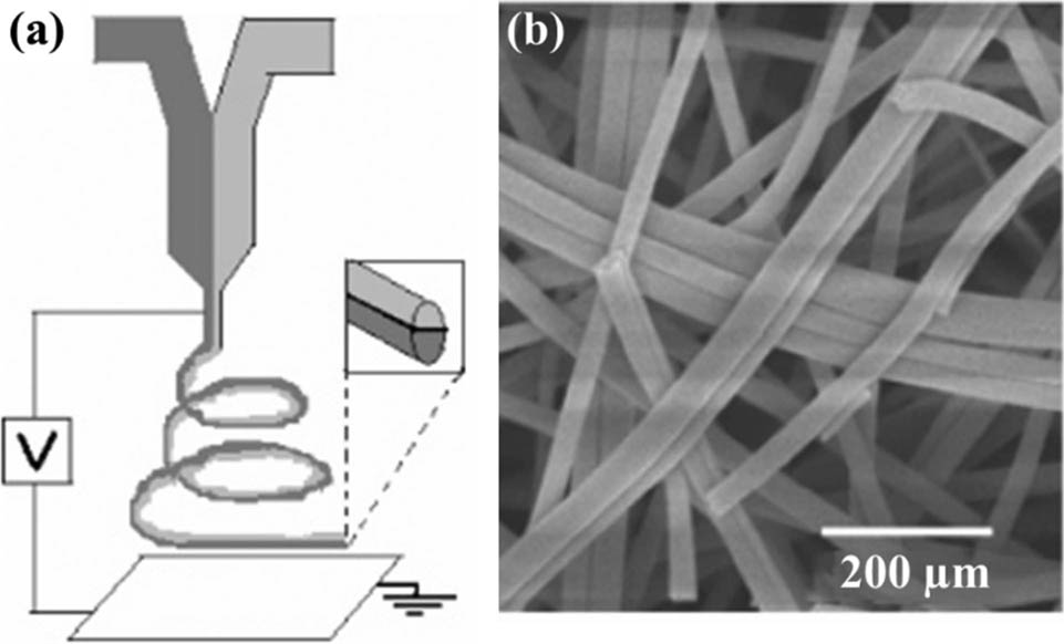 Figure 11 (a) Schematic diagram of the experimental setup used for electrospinning bicomponent nanofibers with side-by-side dual spinnerets and (b) SEM images of TiO2/SnO2 nanofibers calcined at 500°C (140) (© American Chemical Society 2007).