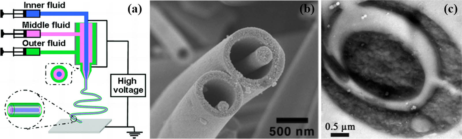 Figure 16 Schematic diagram of triaxial electrospinning (a) and fiber-in-tube structure (b) (147) (© American Chemical Society 2010); cross-section illustration of triaxial fiber (c) (148) (© American Chemical Society 2014).