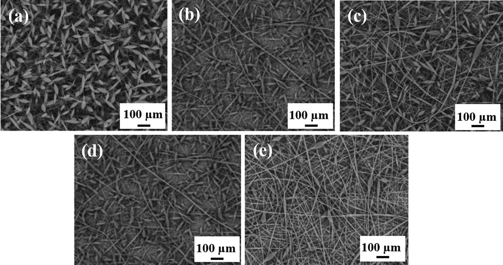 Figure 18 The SEM images of tetracycline hydrochloride (TCH) encapsulated bead-on-string nanofiber with different drug loading rates: (a) 0%, (b) 1%, (c) 2%, (d) 5%, and (e) 10% (152) (© Informa UK Limited 2019).