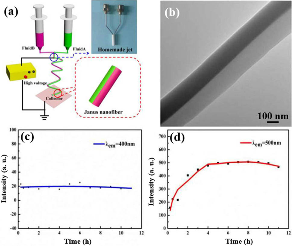 Figure 19 (a) Diagram of the side-by-side electrospinning, (b) TEM image of the PAN/PVP Janus fibers, photoluminescence intensity of the dissolution at (c) 400, and (d) 500 nm with release time (163) (© The Royal Society of Chemistry 2017).