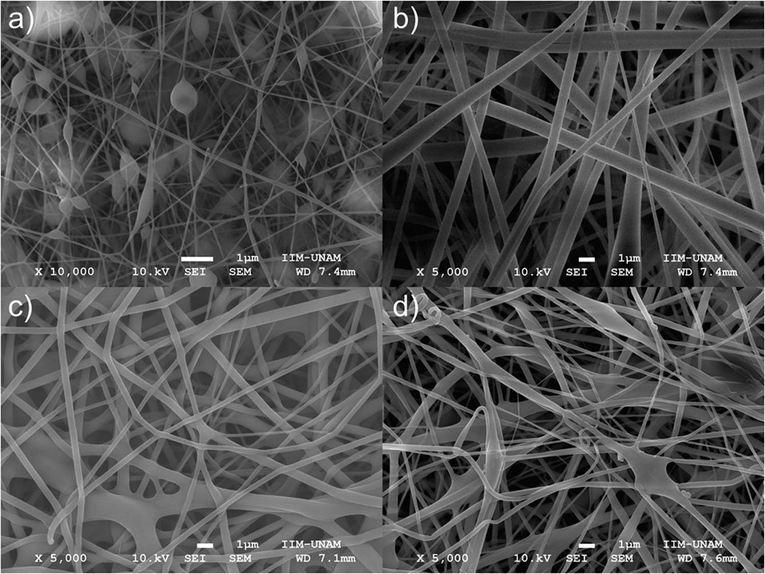 Figure 2 SEM micrographs of PVA/SC fibrous scaffolds. (a) PVA/SC0 (10,000×); (b) PVA/SC1 (5,000×); (c) PVA/SC2 (5,000×); and (d) PVA/SC3 (5,000×).