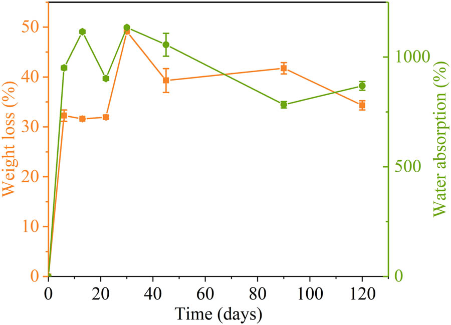 Figure 1 Weight loss and water absorption of modified PVA1788 in natural seawater.