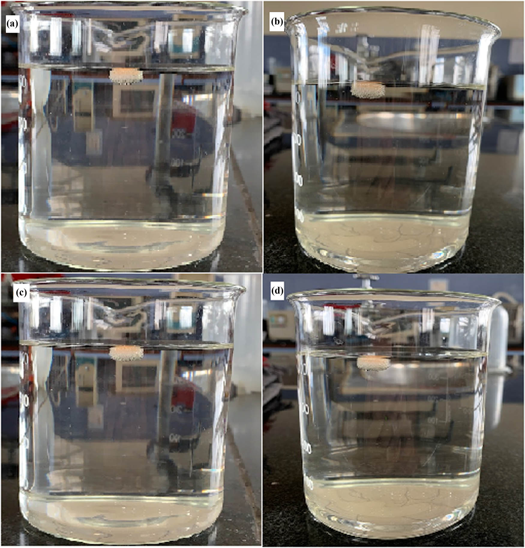 Figure 2 
                     Photographs depicting the side view of bilayer tablets of CC in pH 1.2 buffer at 1 h (a), 2 h (b), 4 h (c), and 6 h (d).
                  