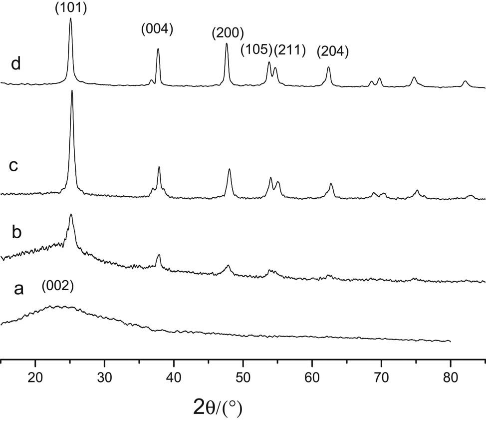 Figure 8 
               XRD of different samples: (a) carbon microspheres; (b) TiO2–C; (c) the calcined TiO2–C; (d) TiO2.