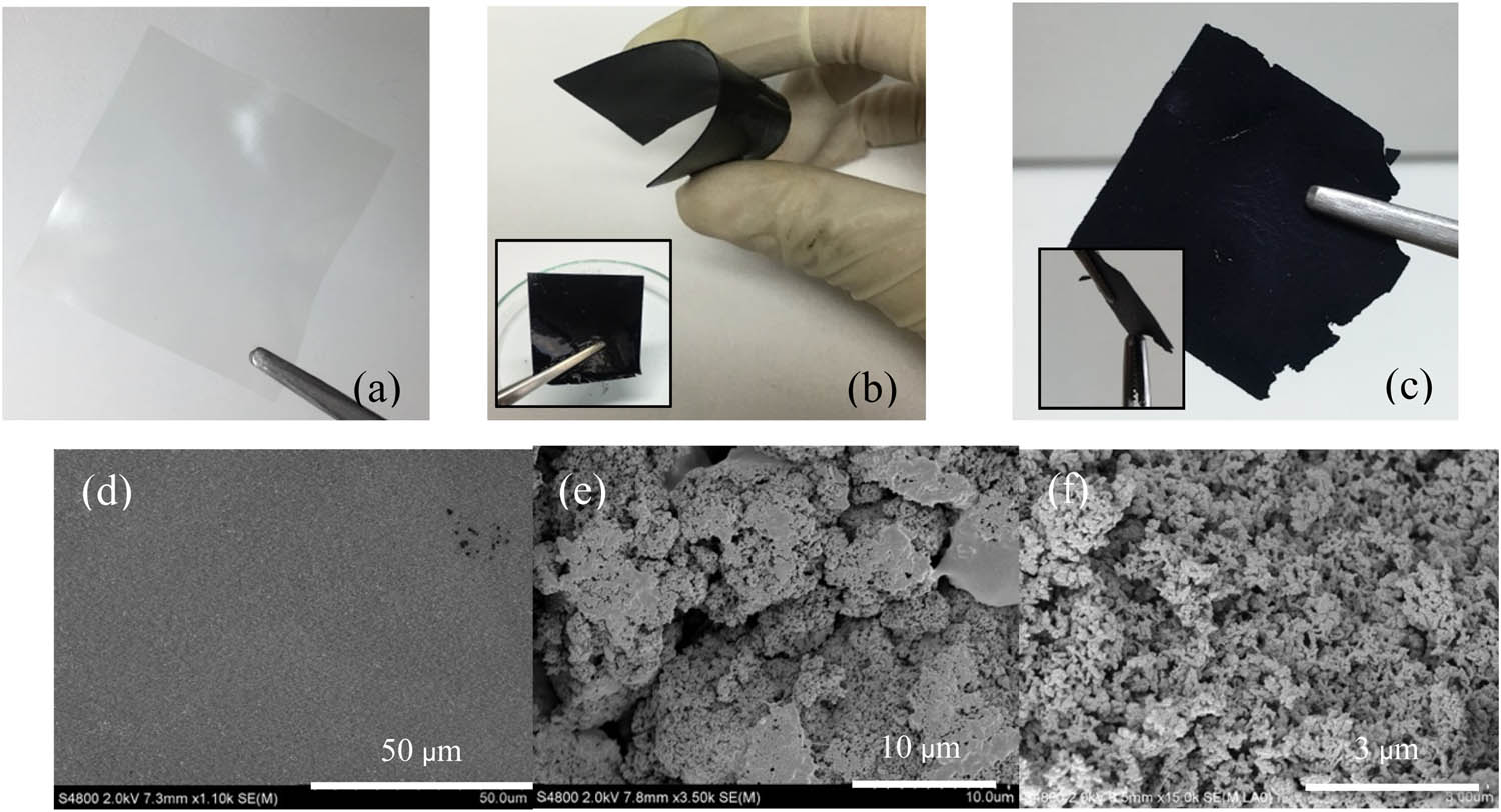 Figure 1
(a) PEC membrane, (b) CPEC, and (c) pure compressed PANI. SEM images of (d) PEC membrane, (e) CPEC, and (f) pure PANI.