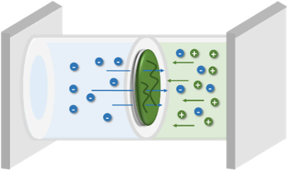 Figure 5
Illustration of the two-compartment crossflow reactor.