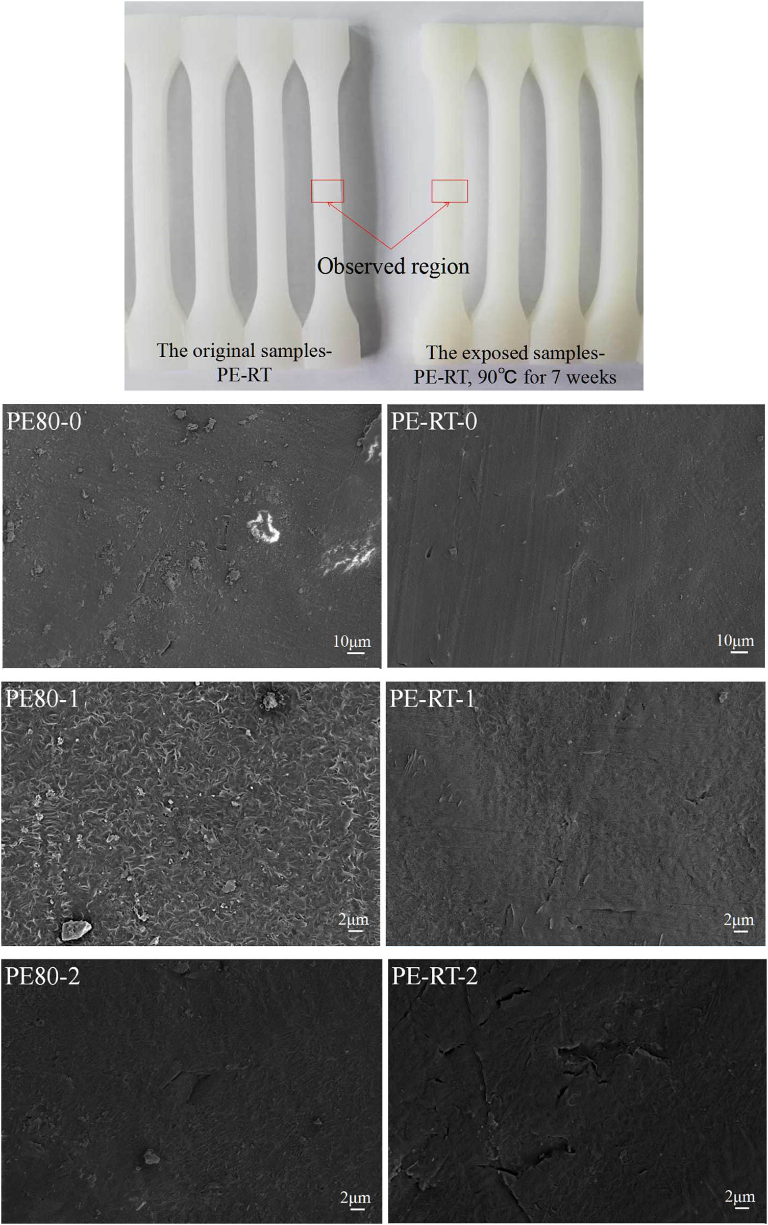 Figure 5
SEM micrographs of PE80 and PE-RT: (-0): the original samples, (-1): 60°C for 3 weeks, (-2) 60°C for 7 weeks, (-3): 90°C for 3 weeks, (-4): 90°C for 7 weeks.