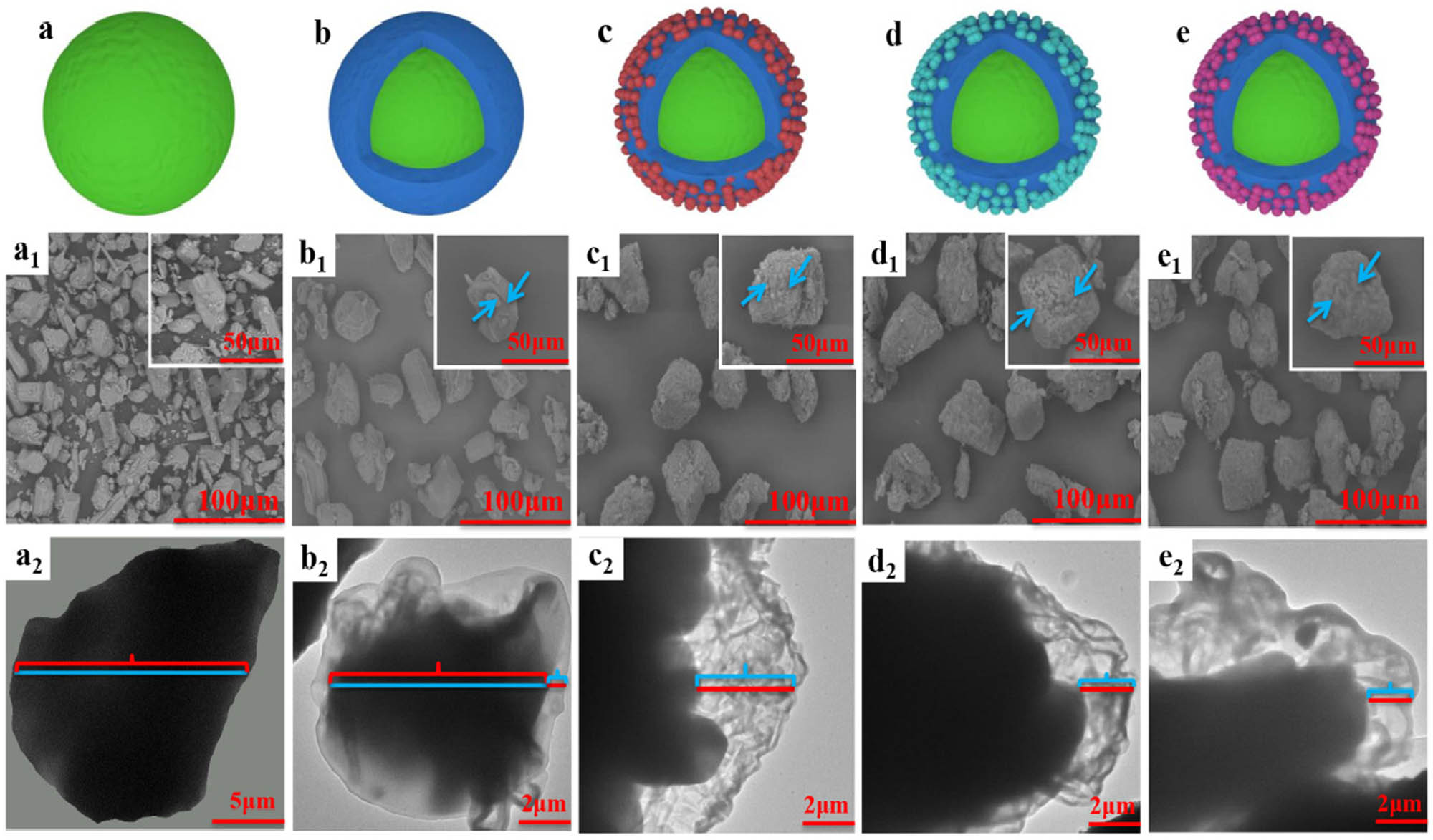 Figure 2 
                  SEM and TEM images of the SB with coating layers. (a) SB, (b) EP@SB, (c) PA/EP@SB, (d) SA/EP@SB, (e) CA/EP@SB.
               