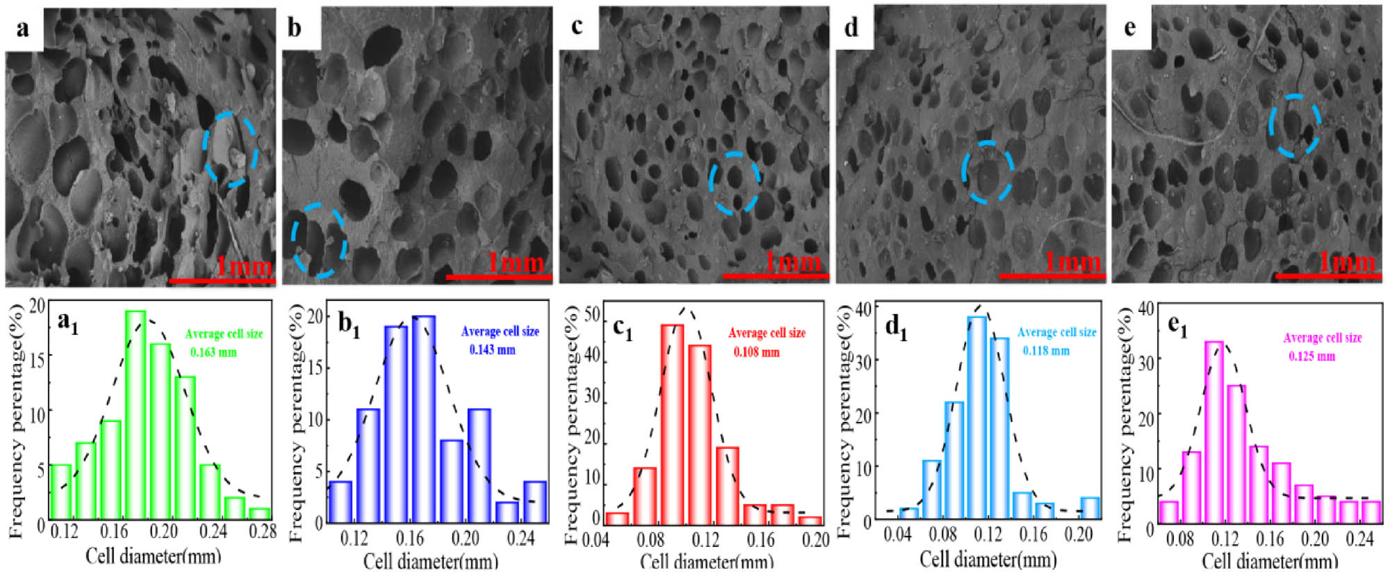 Figure 4 
                  Cell structure (a–e) and the cell size distribution (a1–e1) of the PP foaming composites. (a) PP@SB, (b) PP/EP@SB, (c) PP/PA/EP@SB, (d) PP/SA/EP@SB, (e) PP/CA/EP@SB.
               