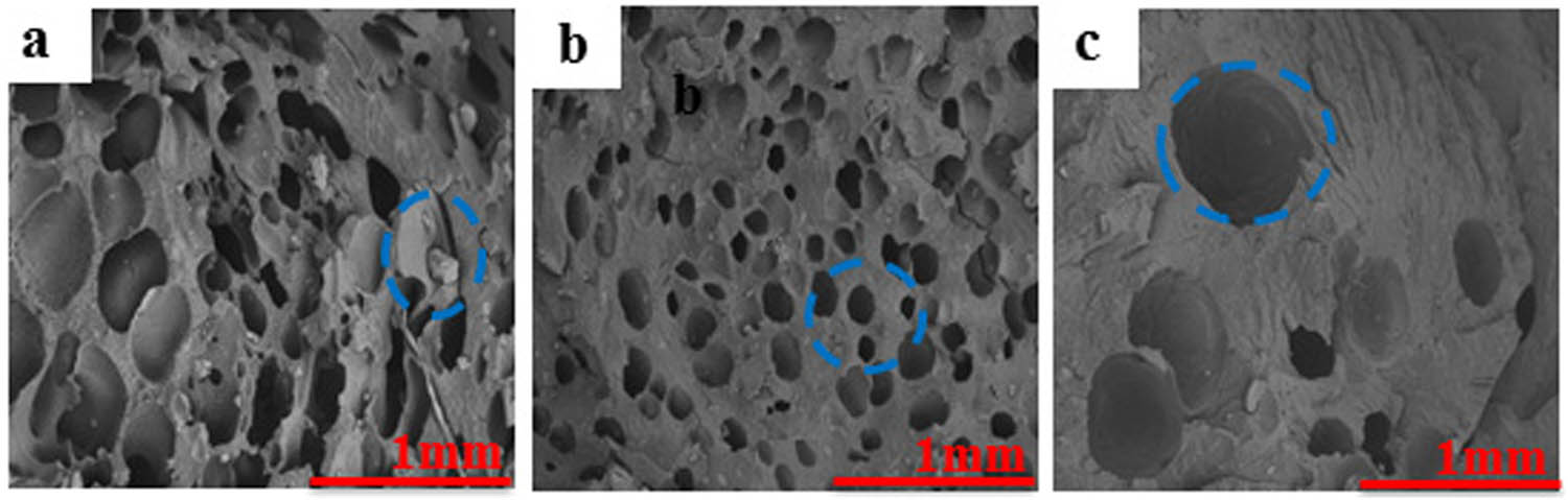 Figure A4 
                  Cells structure of PP/MMT foams composites and cells size distribution: (a) PP/SB, (b)PP/PA/EP@SB, (c) PP/PA/EP@SB.
               
