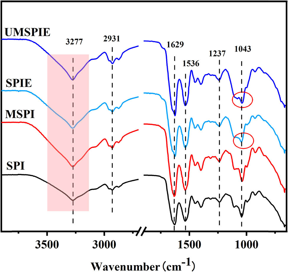 Figure 2
FTIR spectra of the SPI-based composite films.