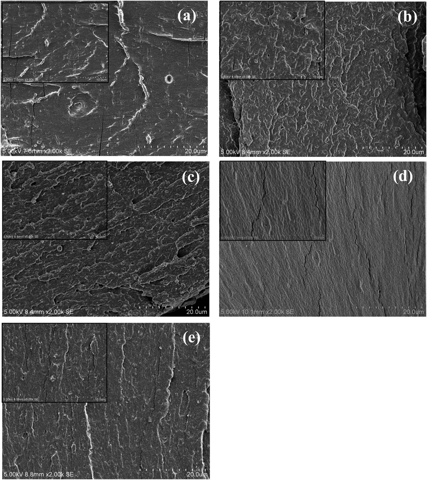 Figure 5
Cross-sectional scanning electron microscopy images of the SPI-based composite films: (a) SPI, (b) MSPI, (c) UMSPI, (d) SPIE, and (e) UMSPIE.
