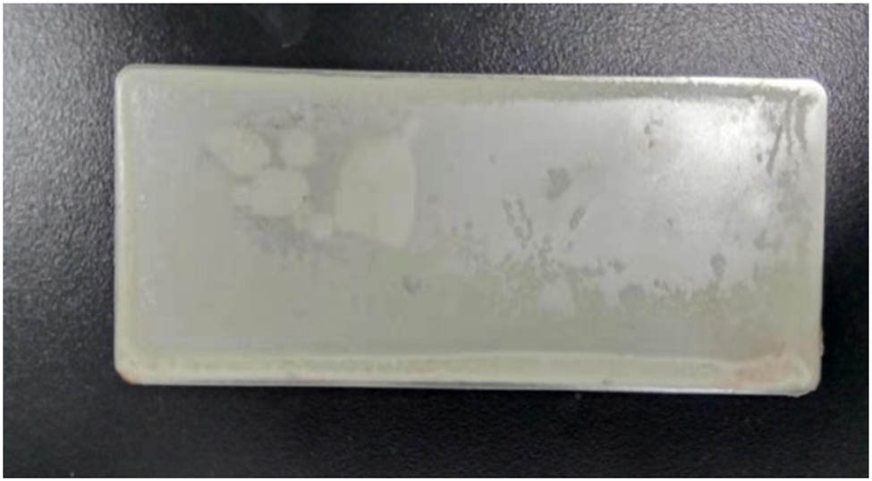 Figure 1
Blistering on waterborne EP sample after one freeze–thaw cycle.