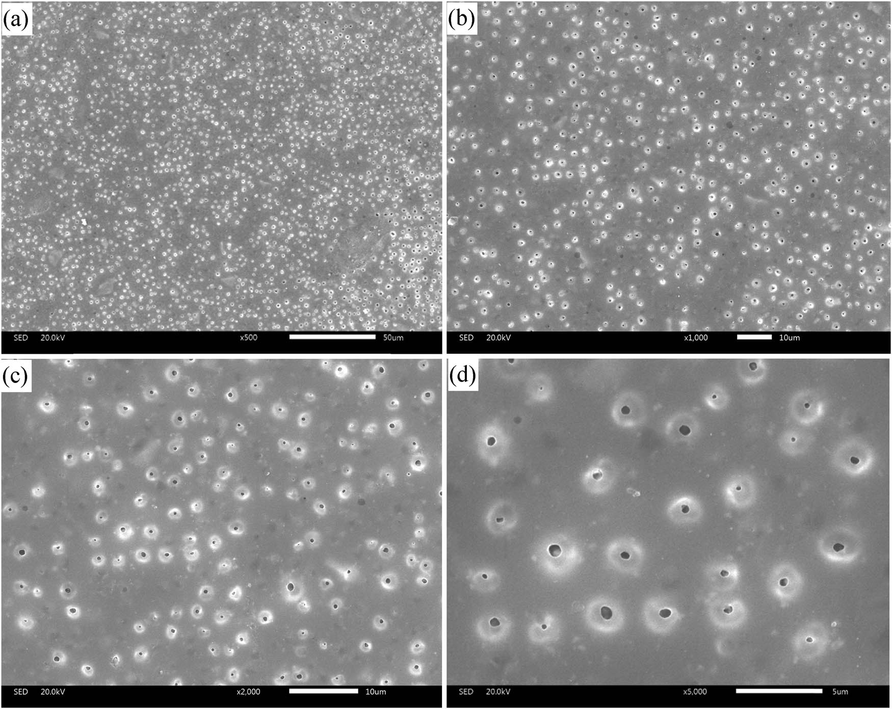 Figure 7
SEM images with different magnification for the thermal reflective coating sample: (a) 500 times; (b) 1000 times; (c) 2000 times; (d) 5000 times.