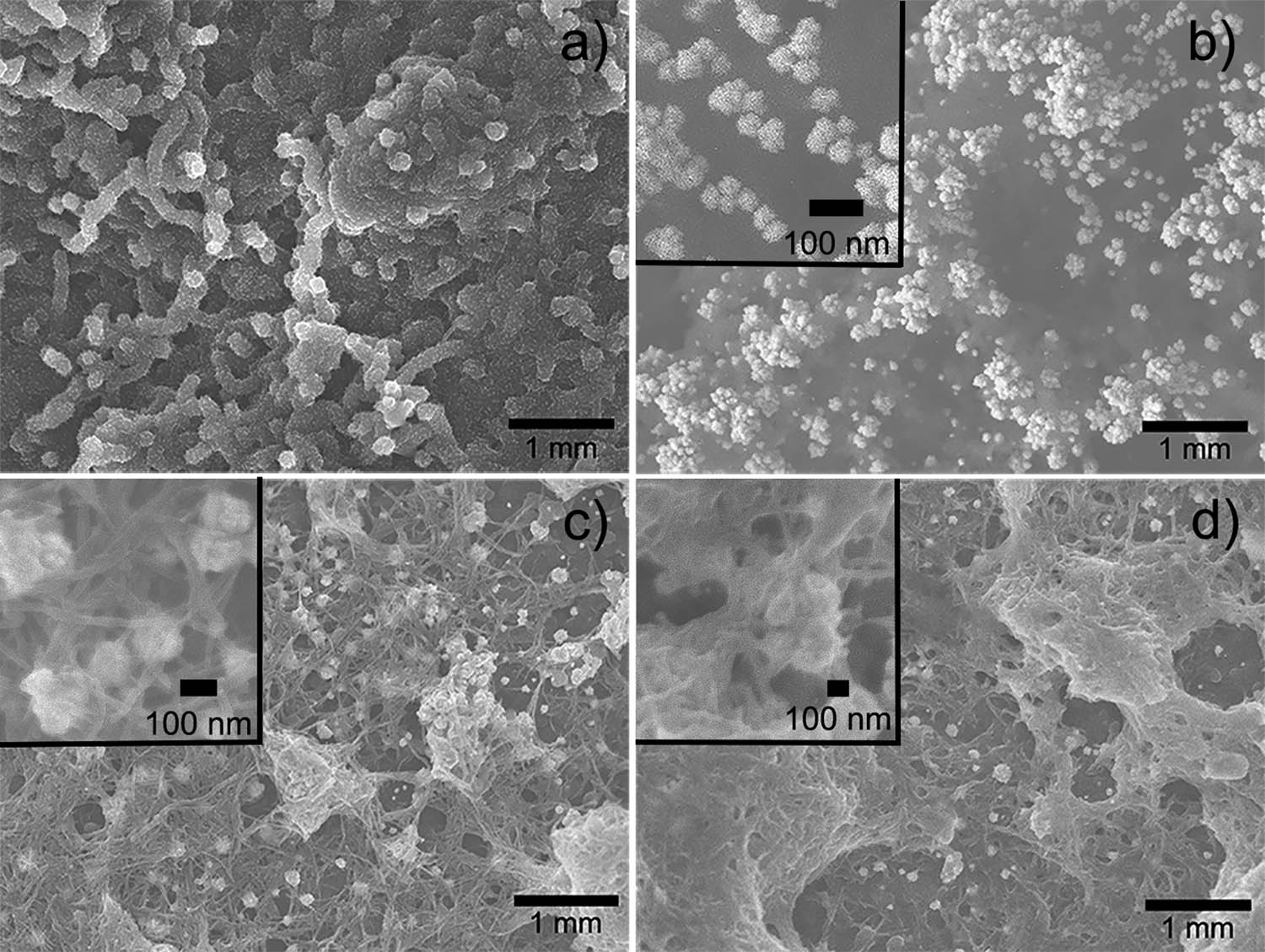 Figure 2
SEM images of (a) SPCE/PAni, (b) SPCE/PAni/AuNP, (c) SPCE/PAni/AuNP/cMWCNT, and (d) SPCE/PAni/AuNP/cMWCNT/CAT.