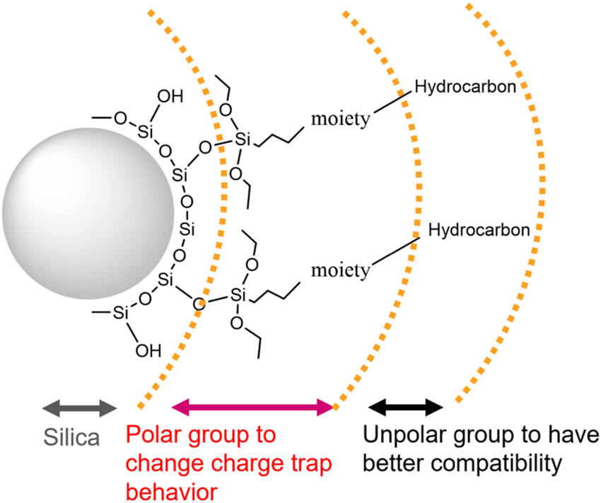 Figure 1 
               Scheme of the designed surface-functionalized silica.