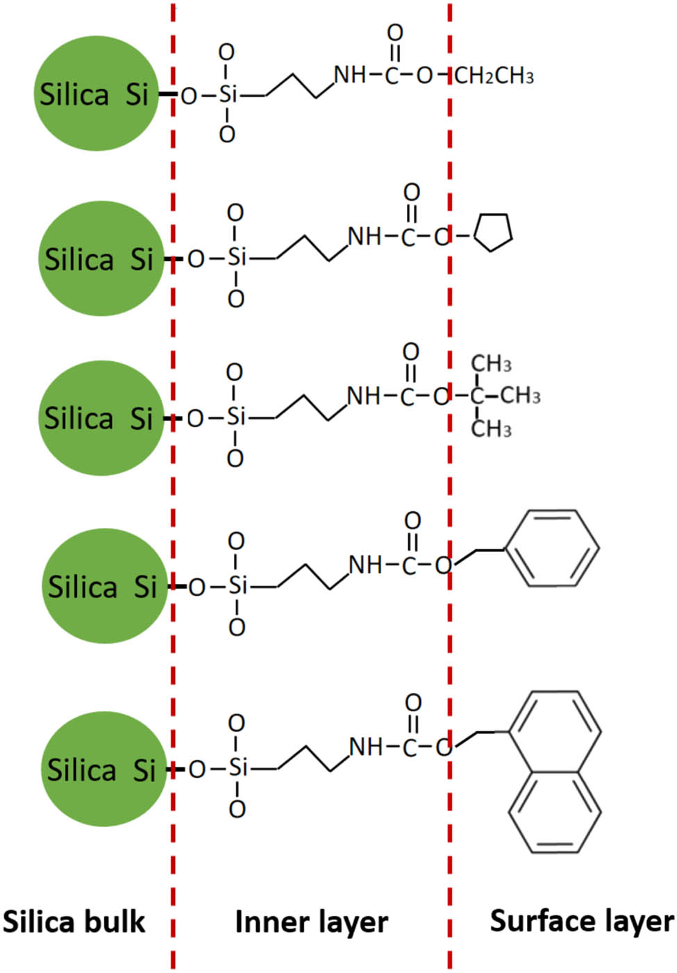 Figure 9 
                  Chemical structure of the surface-modified silicas.