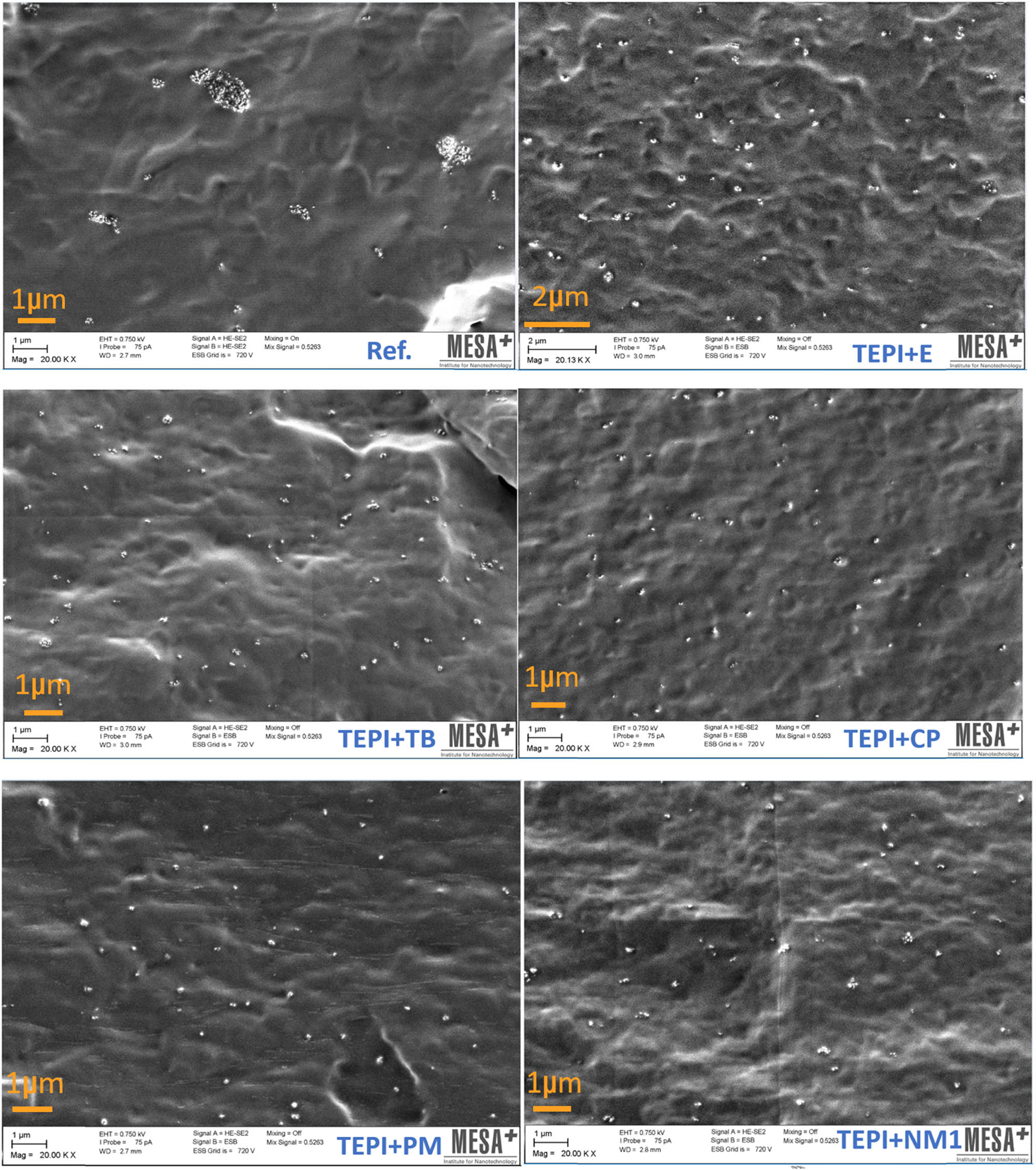 Figure 10 
                  SEM images of nanocomposites filled with reference silica or modified silicas.