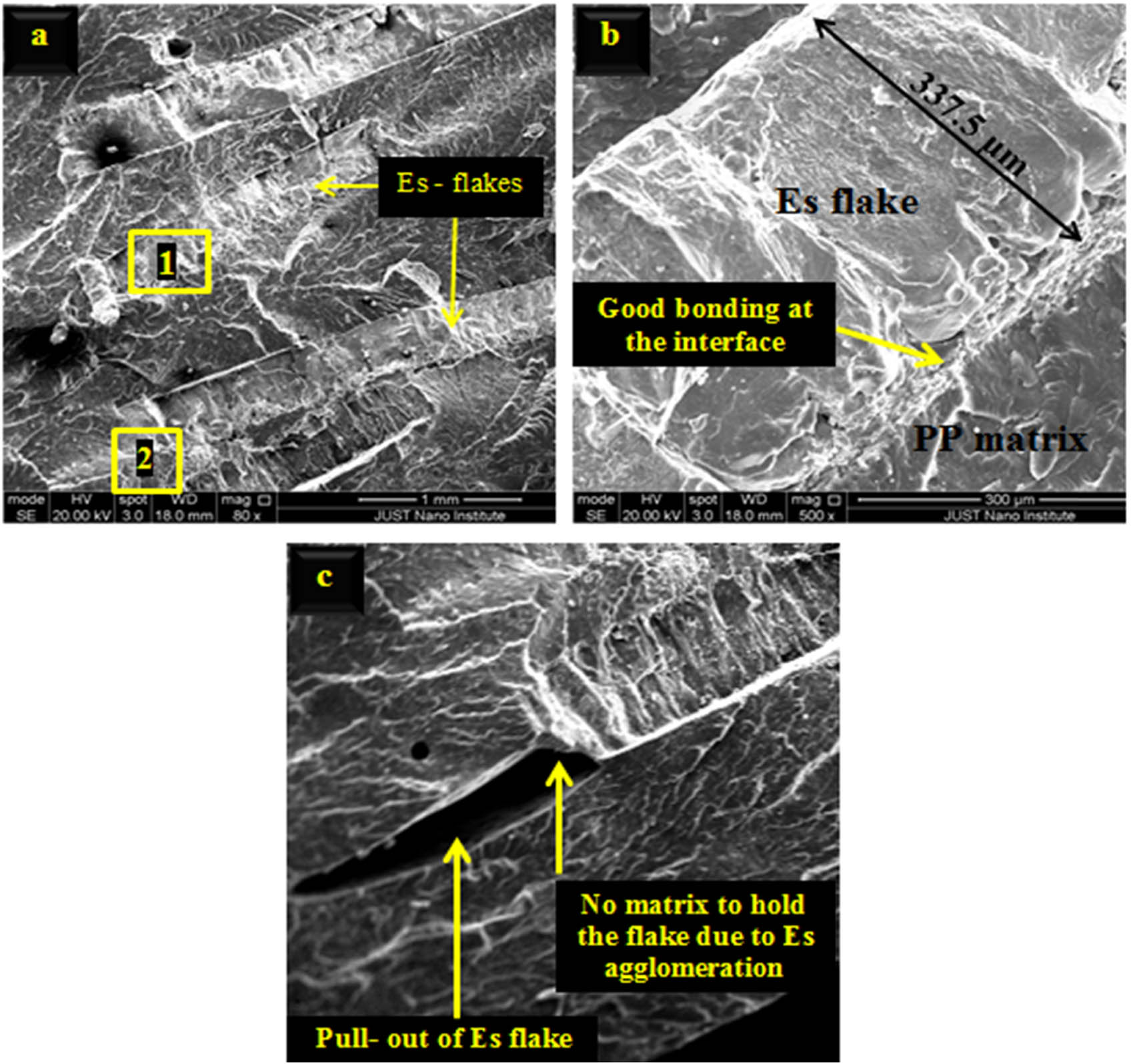 Figure 12 
                     SEM micrograph of 20 Es–PP composite: micrograph (b) is a magnification for the first square in micrograph (a) and micrograph (c) is a magnification for the second square in micrograph (a).