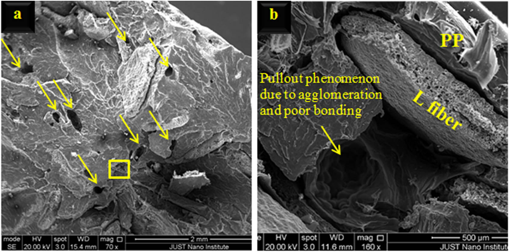 Figure 13 
                     SEM micrograph of 20 Es–PP composite: micrograph (b) is a magnification for the yellow square in micrograph (a). Yellow arrows in micrograph (a) indicate pull-out.